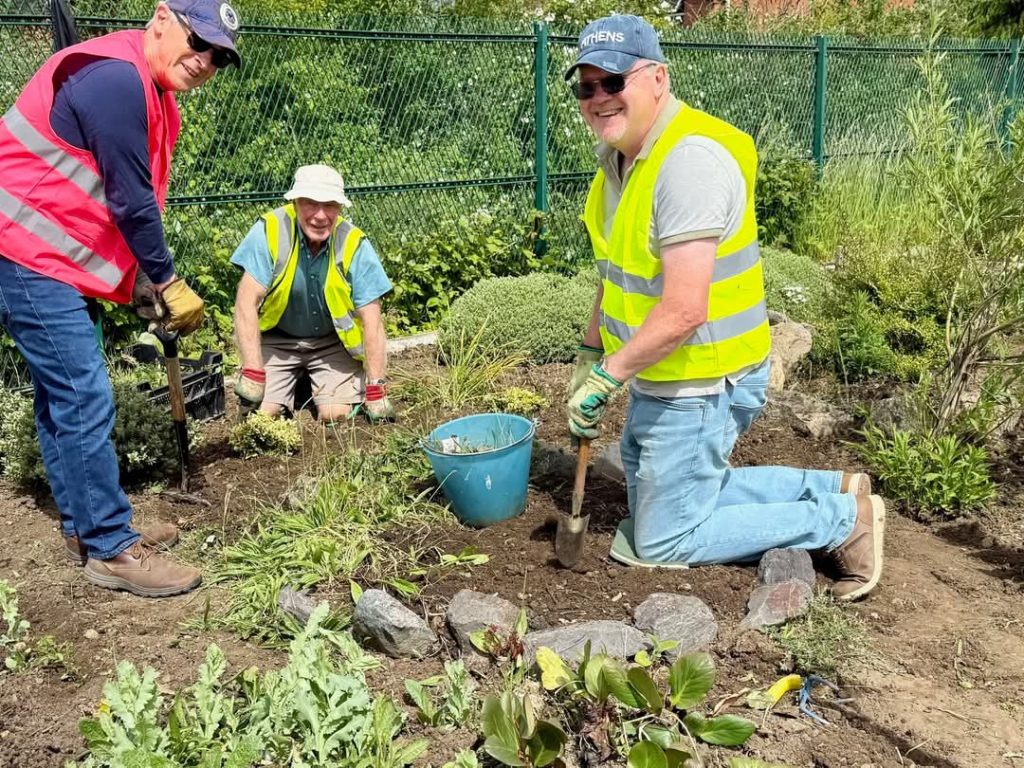Volunteers weeding garden